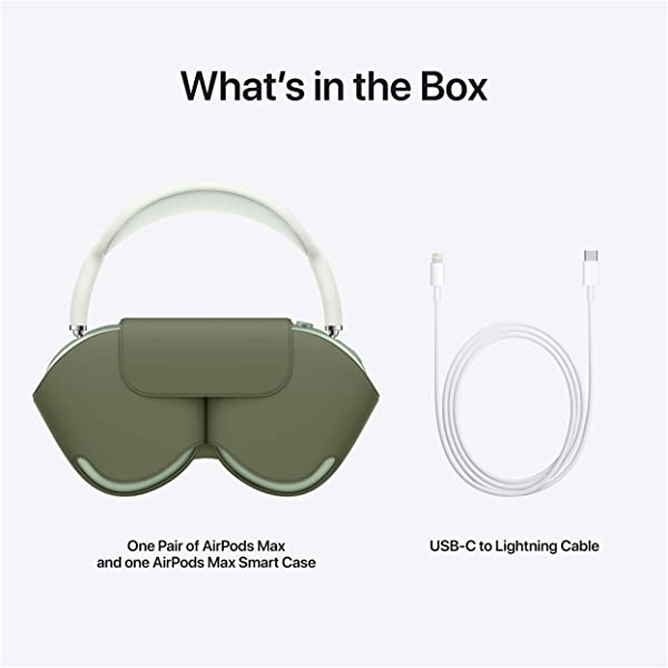 Silver AirPods Max F483750