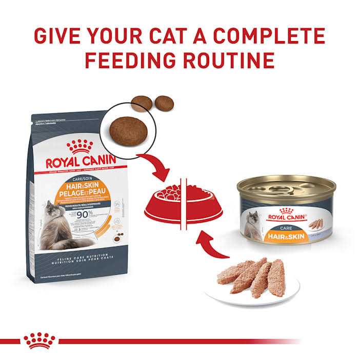 Adult Dry Cat Food C34974
