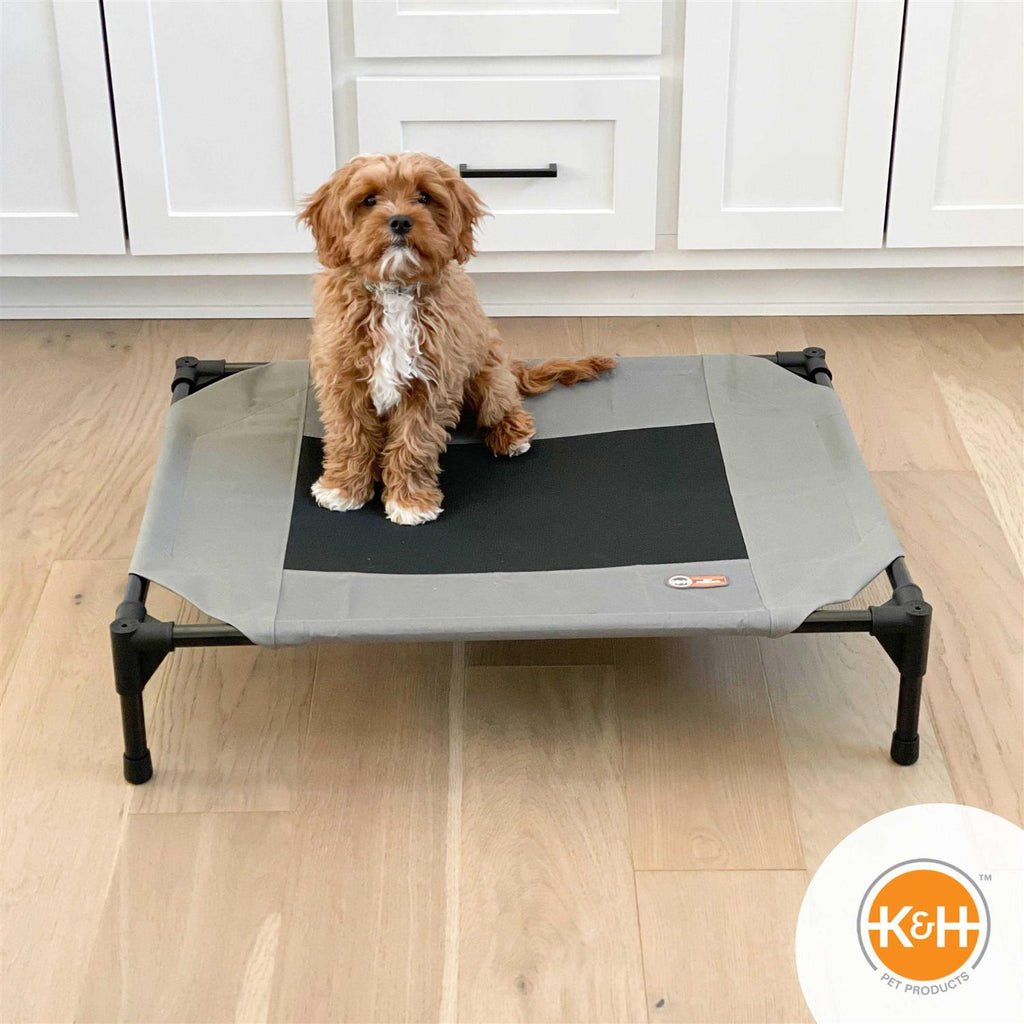 Elevated Pet Cot O58840