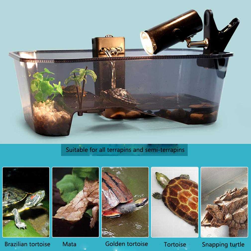 Turtle Tank Aquarium with Platform Plants J93316