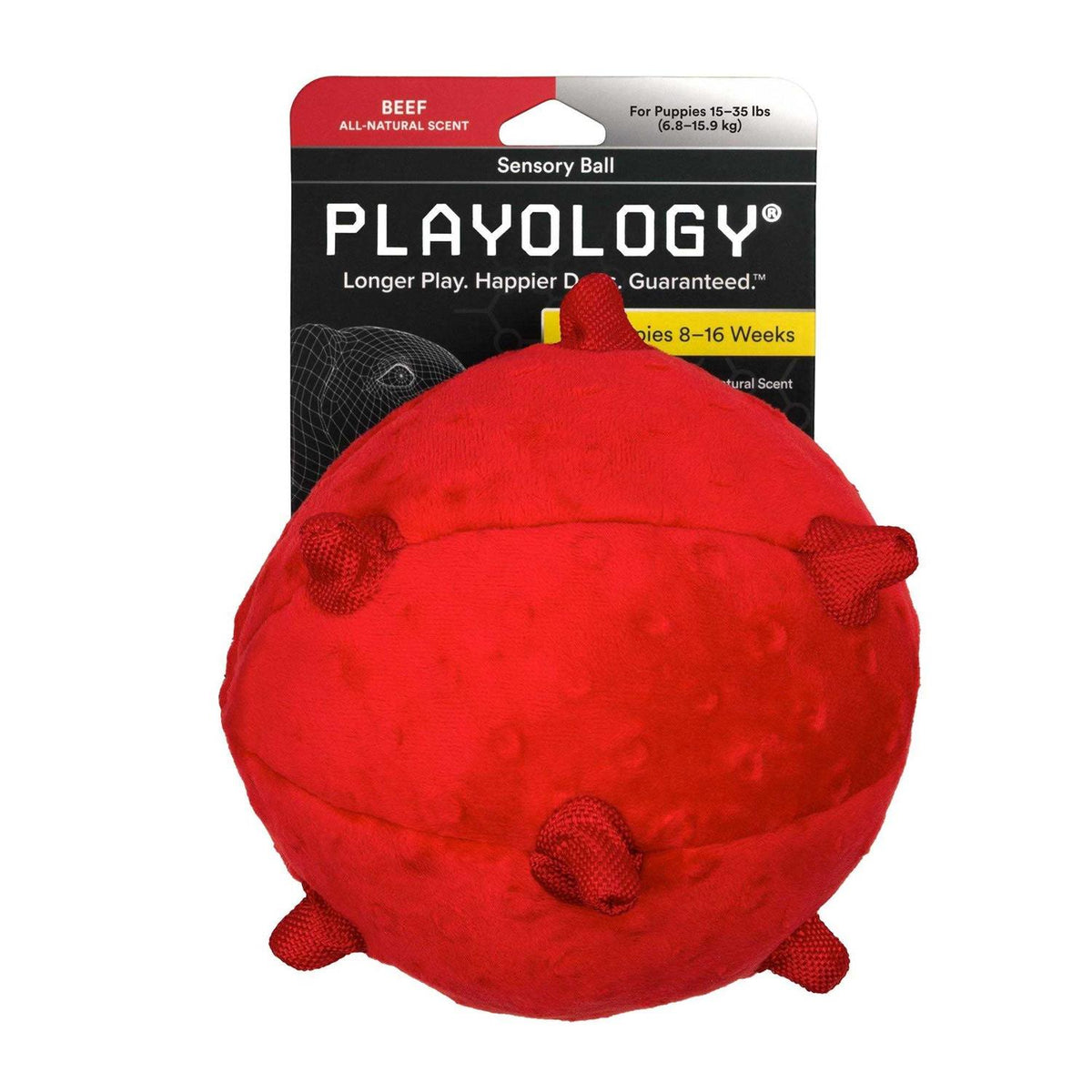Sensory Ball Dog Toy R929