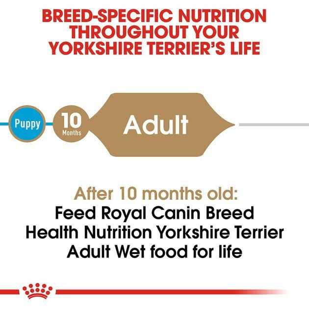 Yorkshire Terrier Adult Loaf In Sauce Dog Food H524