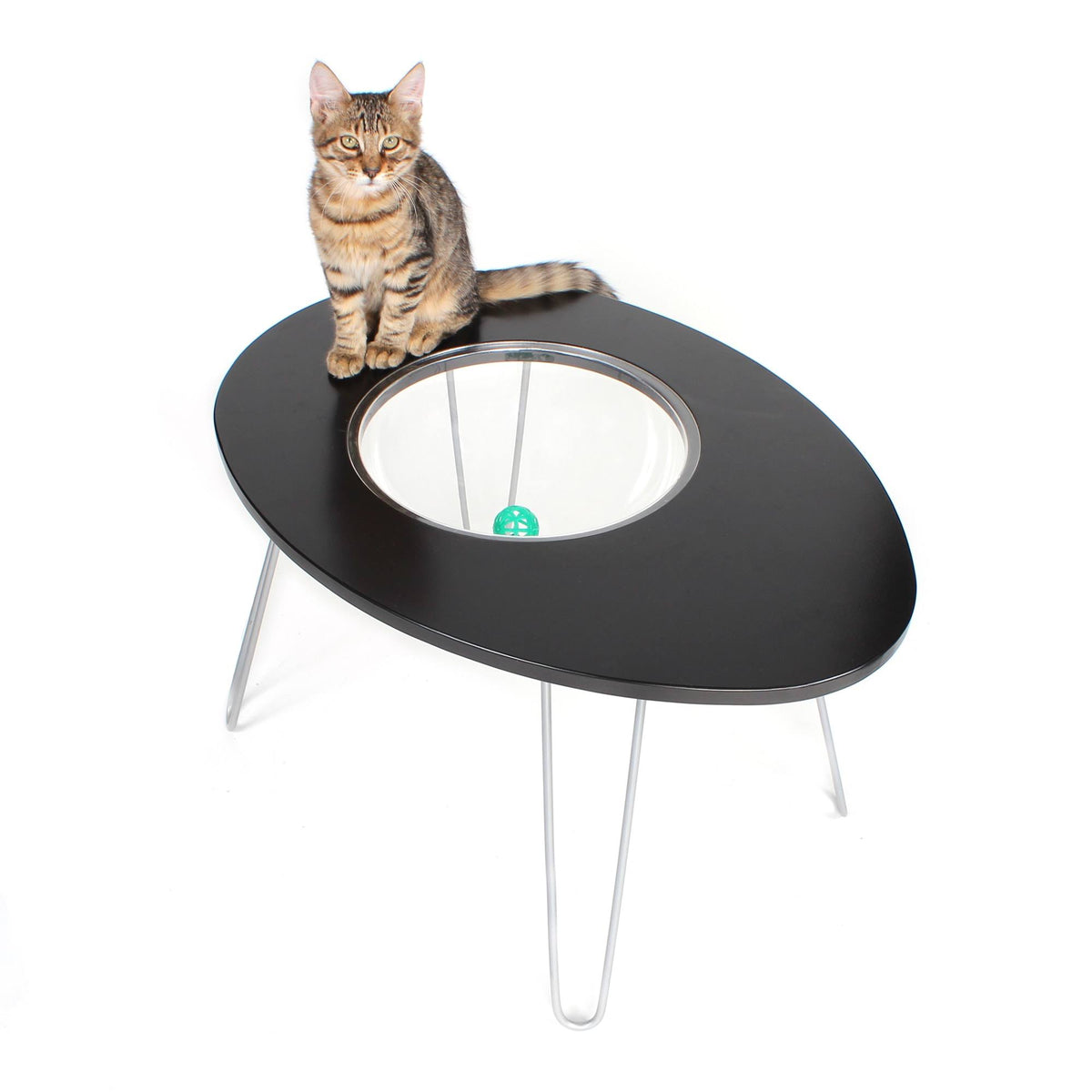 Raised Cat Bed and Side Table Q54970