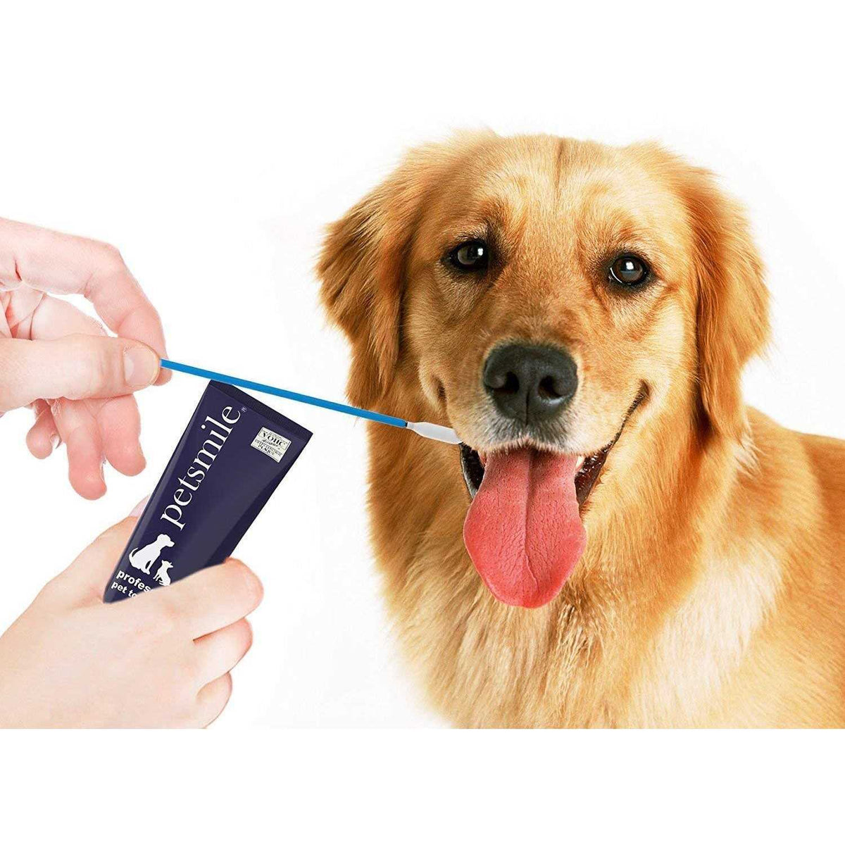 Pet Toothpaste Applicator Swabs D762