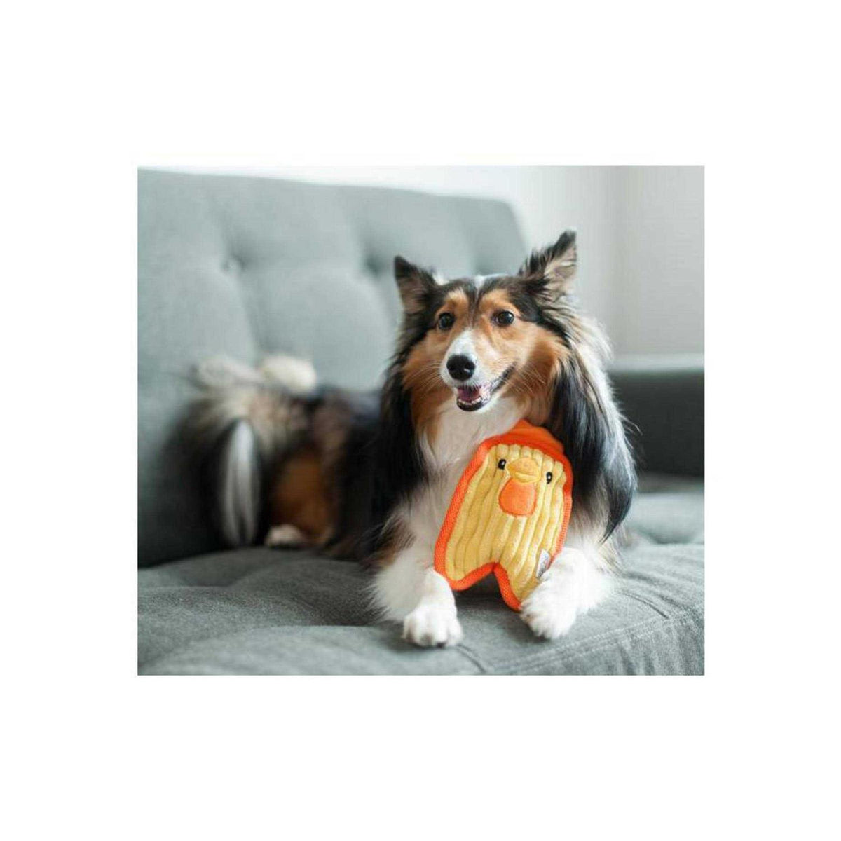 Dog Toy V983974