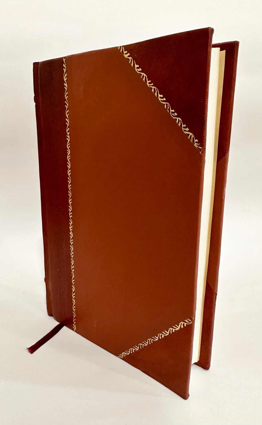 Ship-Railway Across the Isthmus of Tehuantepec Leather Bound G278045
