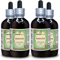 Dried Whole Plant Alcohol-Free Liquid Extract 4x4 oz L503070