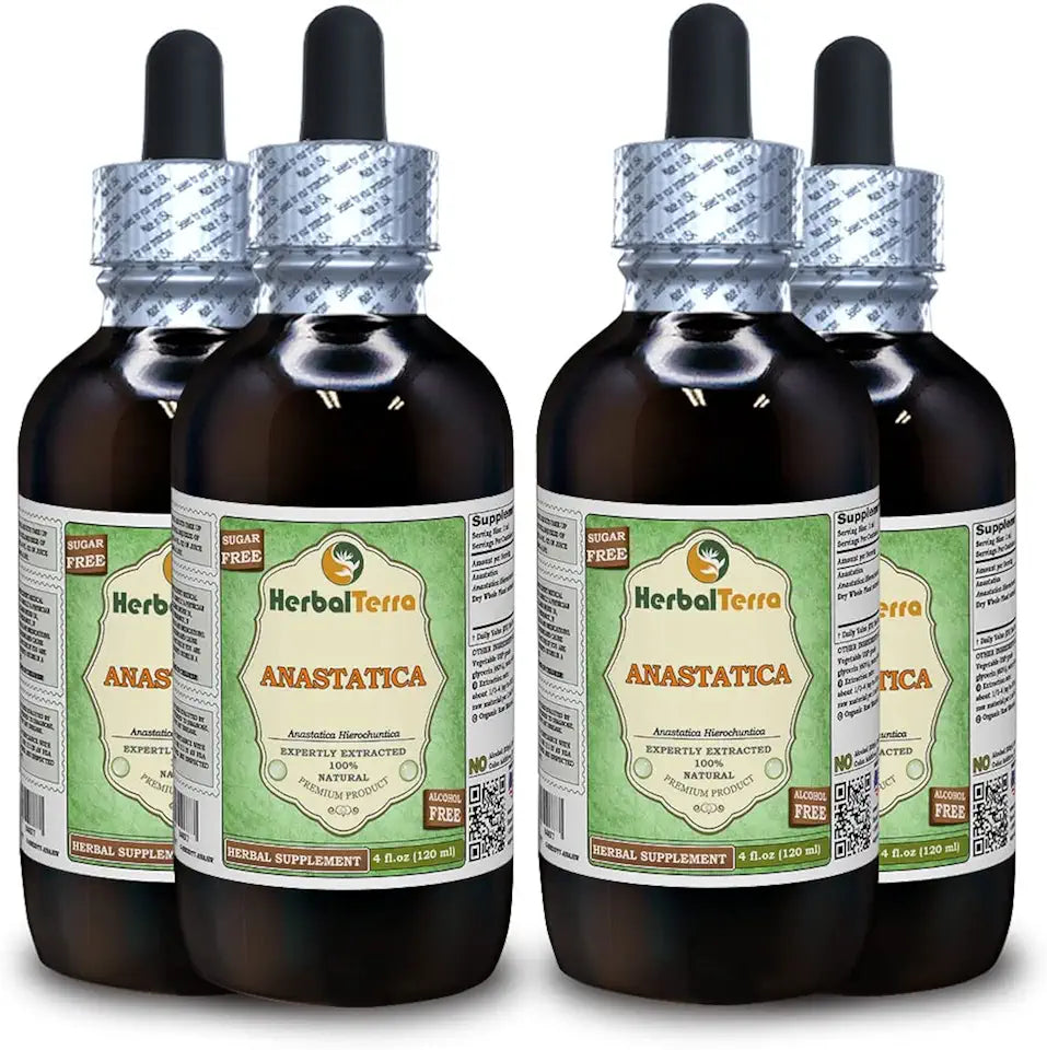 Dried Whole Plant Alcohol-Free Liquid Extract 4x4 oz L503070