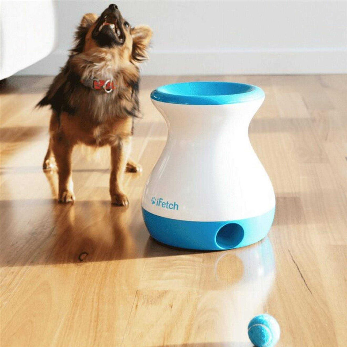 Dog Toy A54390