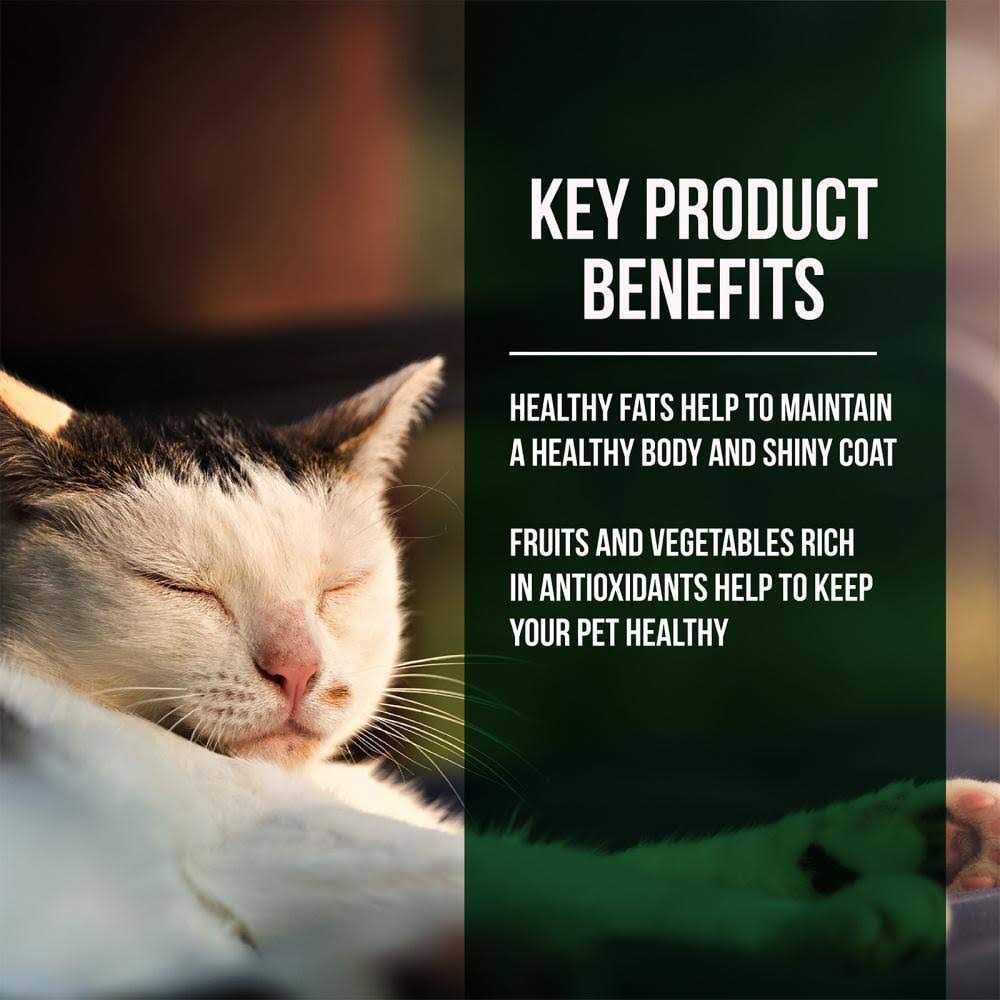 Salmon Chicken Dry Cat Food H10615