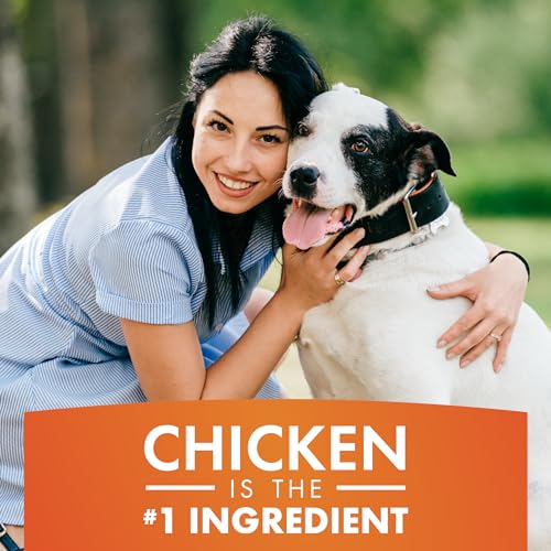Chicken Jerky Dog Treats 16 oz U685