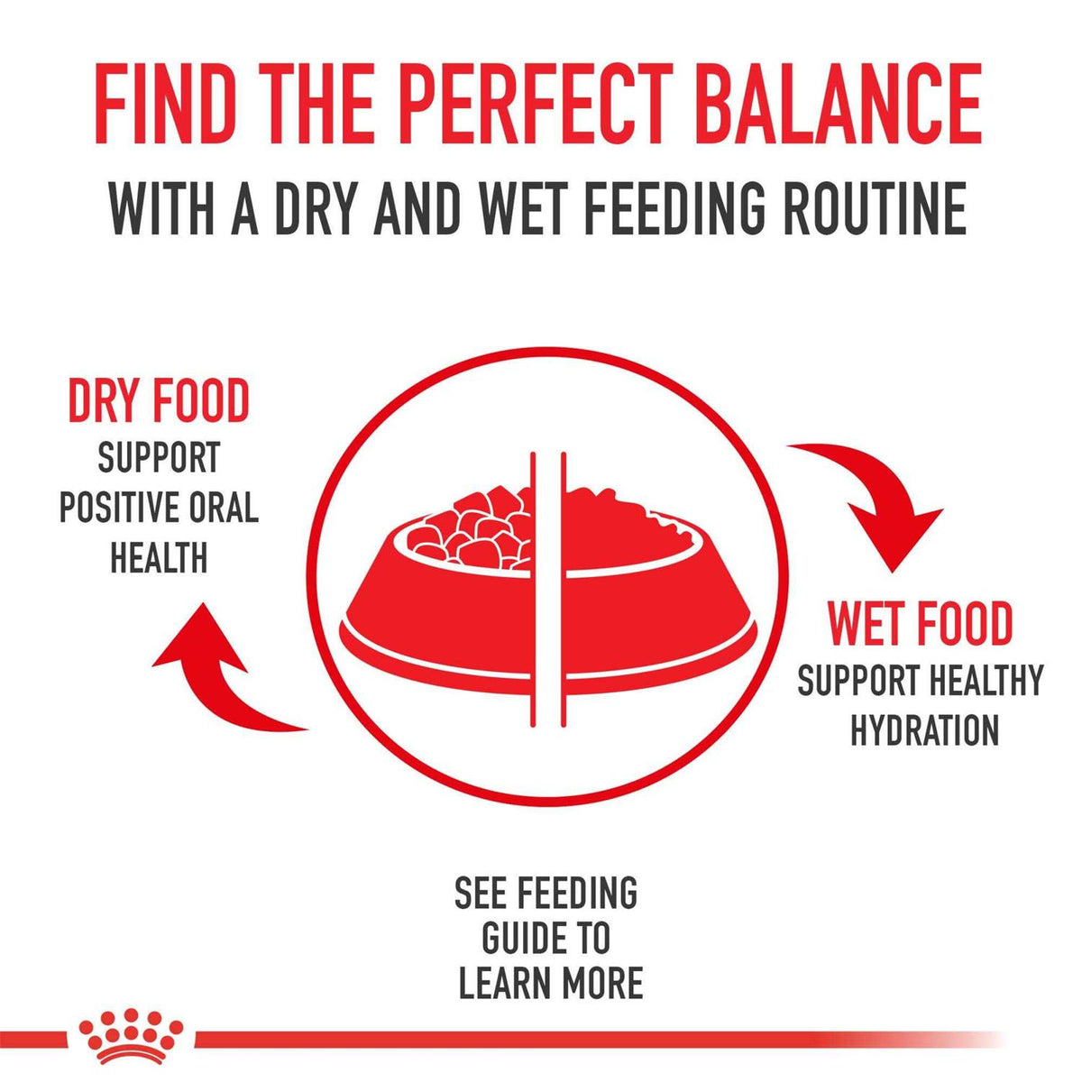 Adult Dry Dog Food G28162