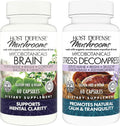 MycoBotanicals Brain & Stress Capsules, 60 Count D5179