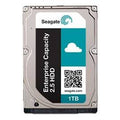 1TB 7200RPM 128M Cache SAS Enterprise HDD R793756