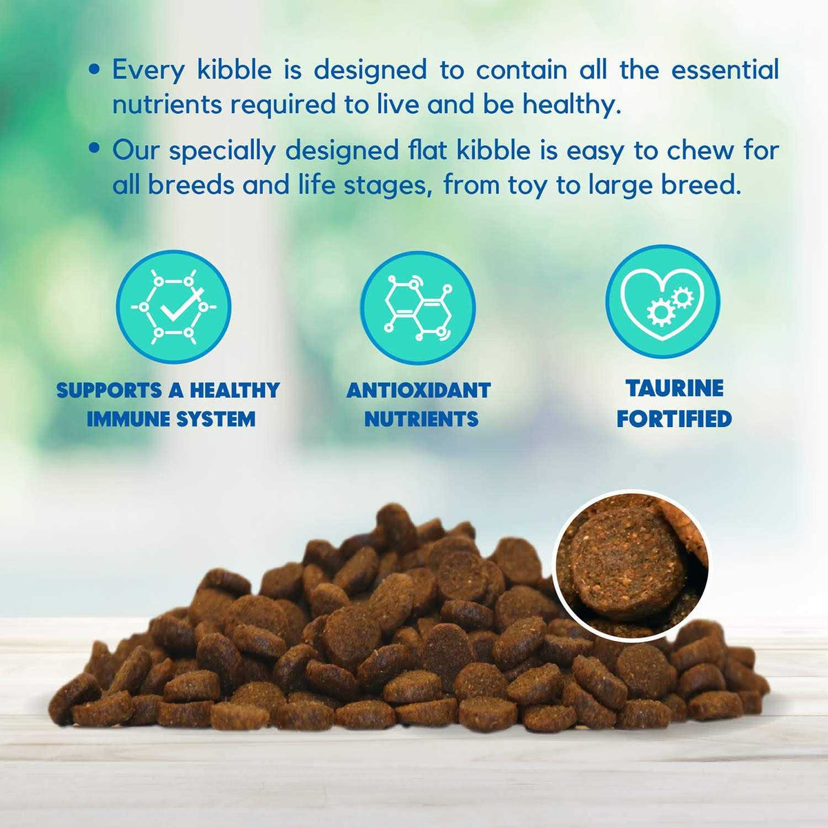 Chicken Brown Rice & Pumpkin Dry Dog Food M67307