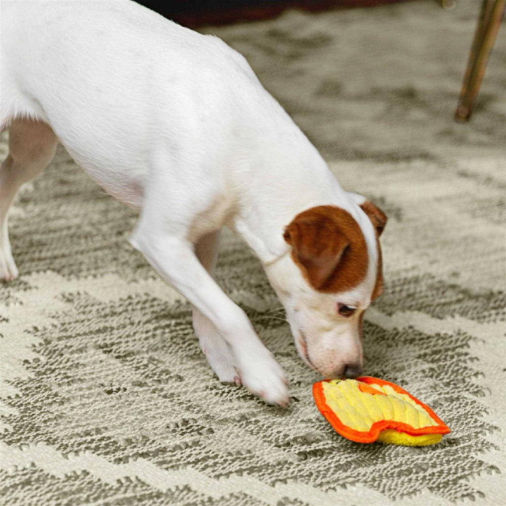 Dog Toy V983974