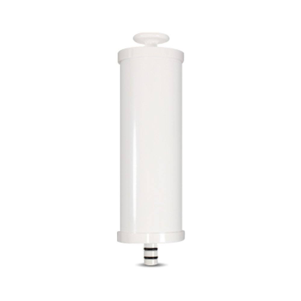 Replacement Carbon Filters I2474