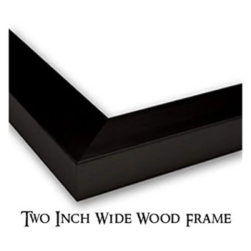 Black Modern Framed Museum Art Print V138086
