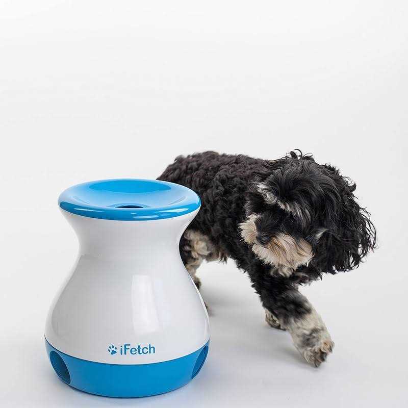 Dog Toy A54390