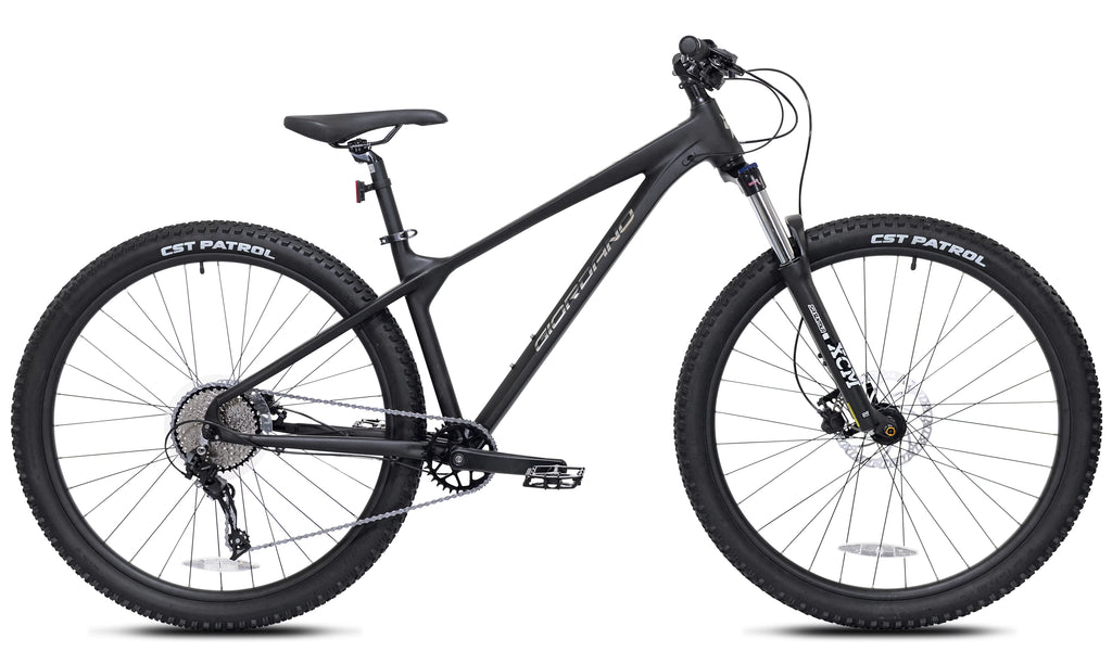 Black 29-inch Mountain Bike Z3560