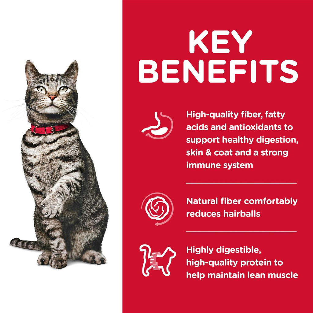 Adult Dry Cat Food G38938