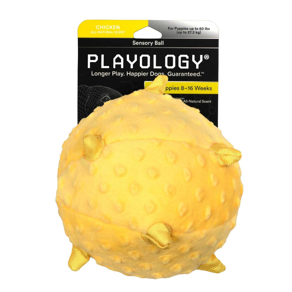 Sensory Ball Dog Toy R929