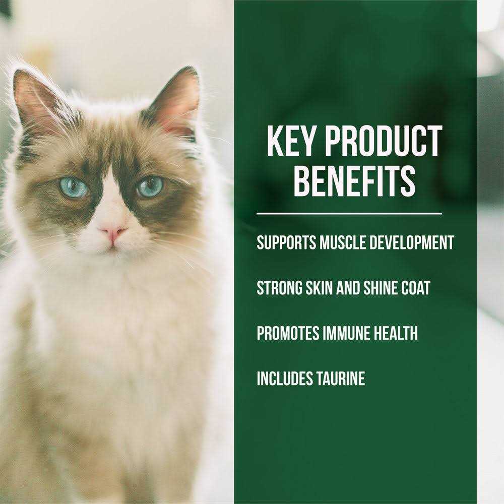 Salmon Chicken Dry Cat Food H10615