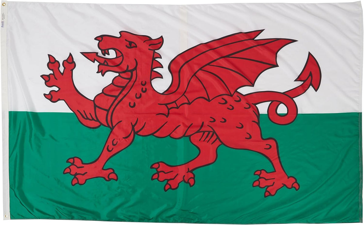 Wales Flag 4x6 ft Q86012