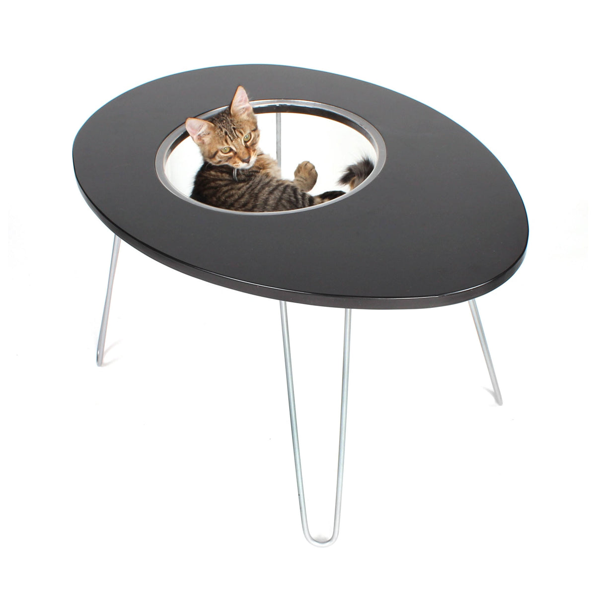Raised Cat Bed and Side Table Q54970