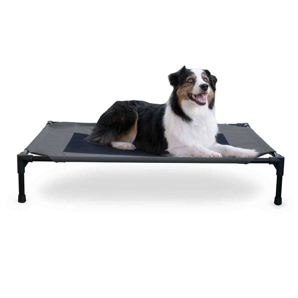 Elevated Pet Cot O58840