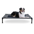 Elevated Pet Cot O58840