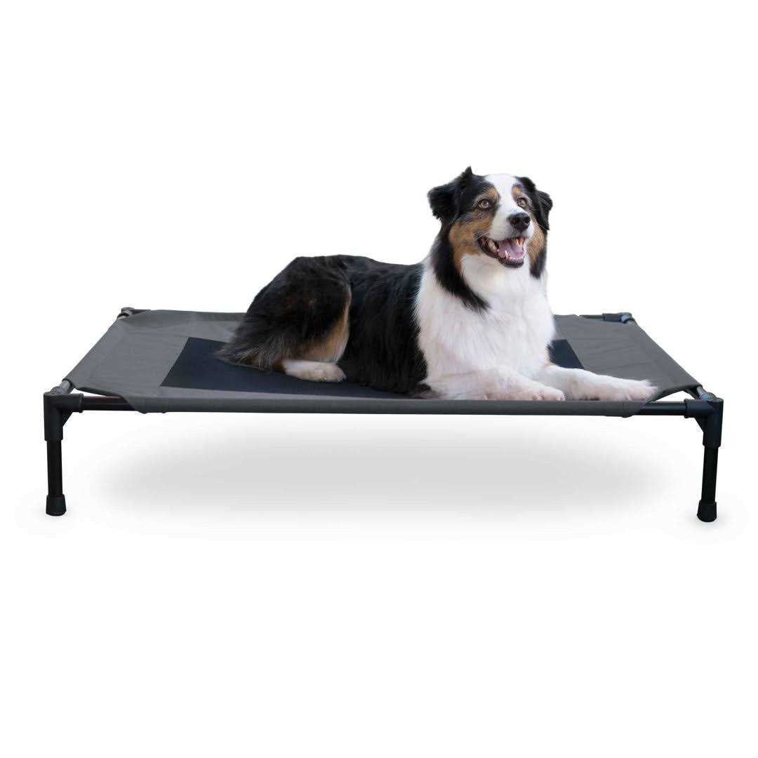 Elevated Pet Cot O58840