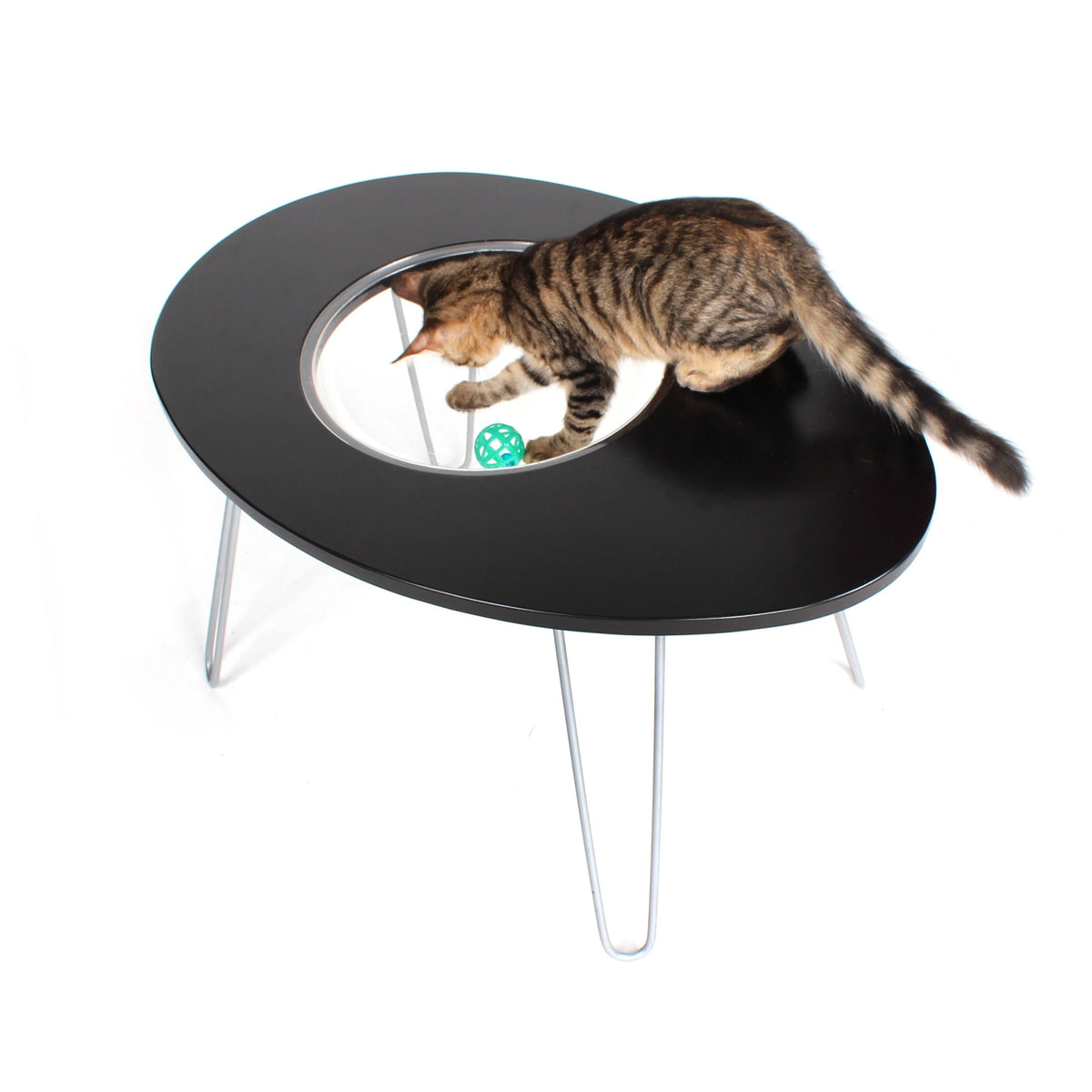 Raised Cat Bed and Side Table Q54970