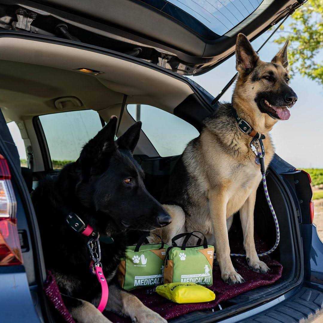 Dog Kit F551