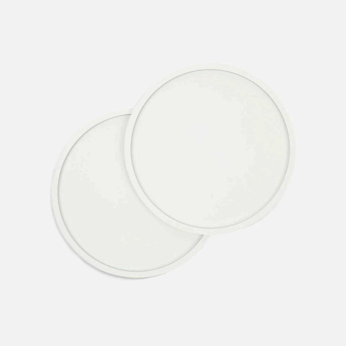 Dog Placemat T248