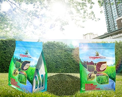 100% Tall Fescue Grass Seeds Z62540