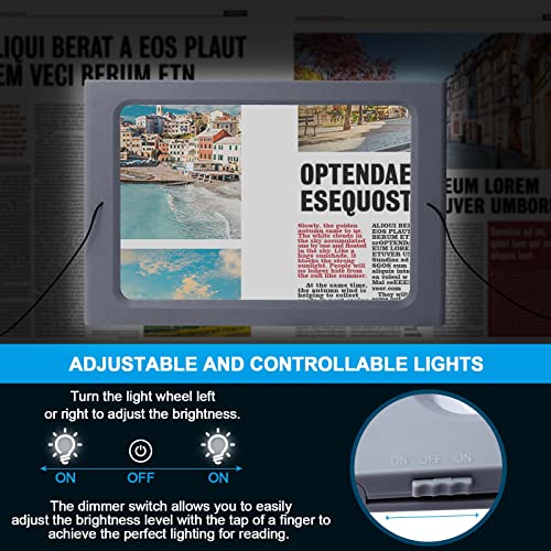 36 LED Dimmable Floor Magnifying Lamp with Stand W87719