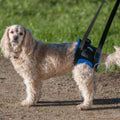 Back End Harness U372946