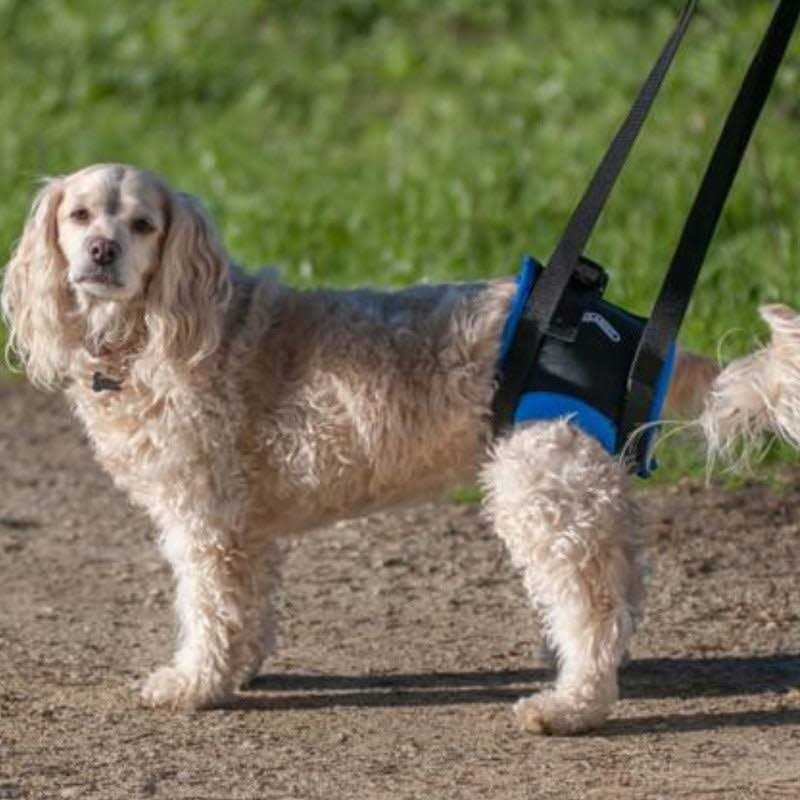 Back End Harness U372946
