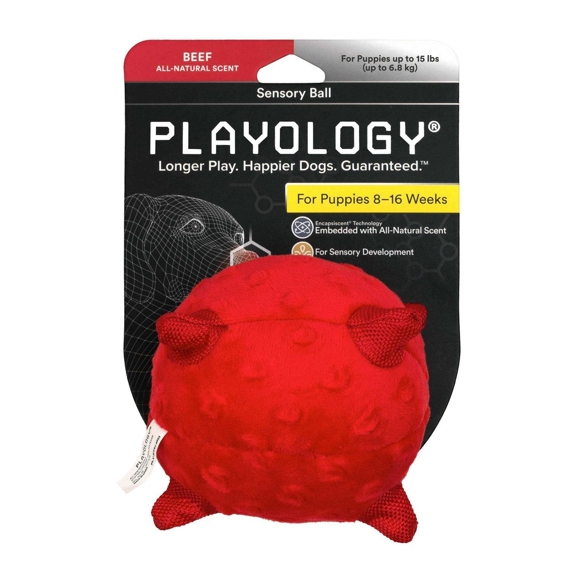 Sensory Ball Dog Toy R929