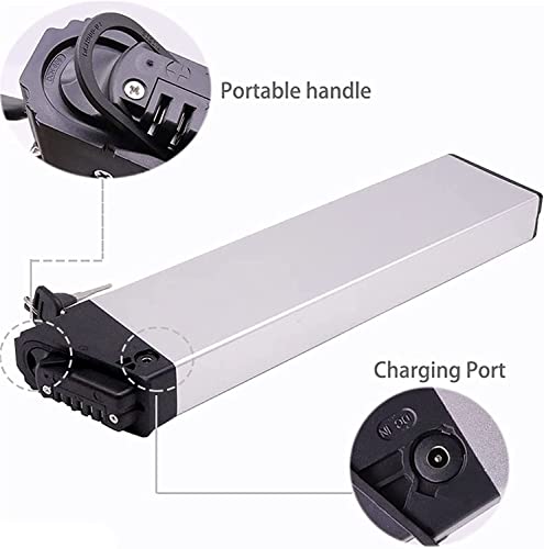 36V 8Ah 10Ah 12.5Ah 15Ah Folding Electric Bike Lithium Battery with Charger X274