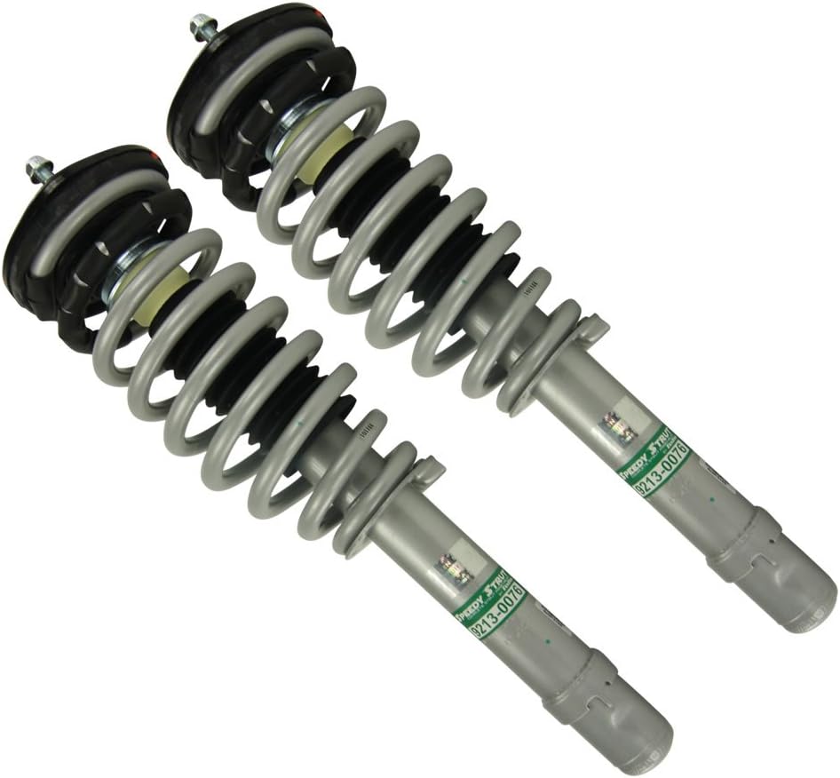 Front Pair Complete Strut Assembly J112