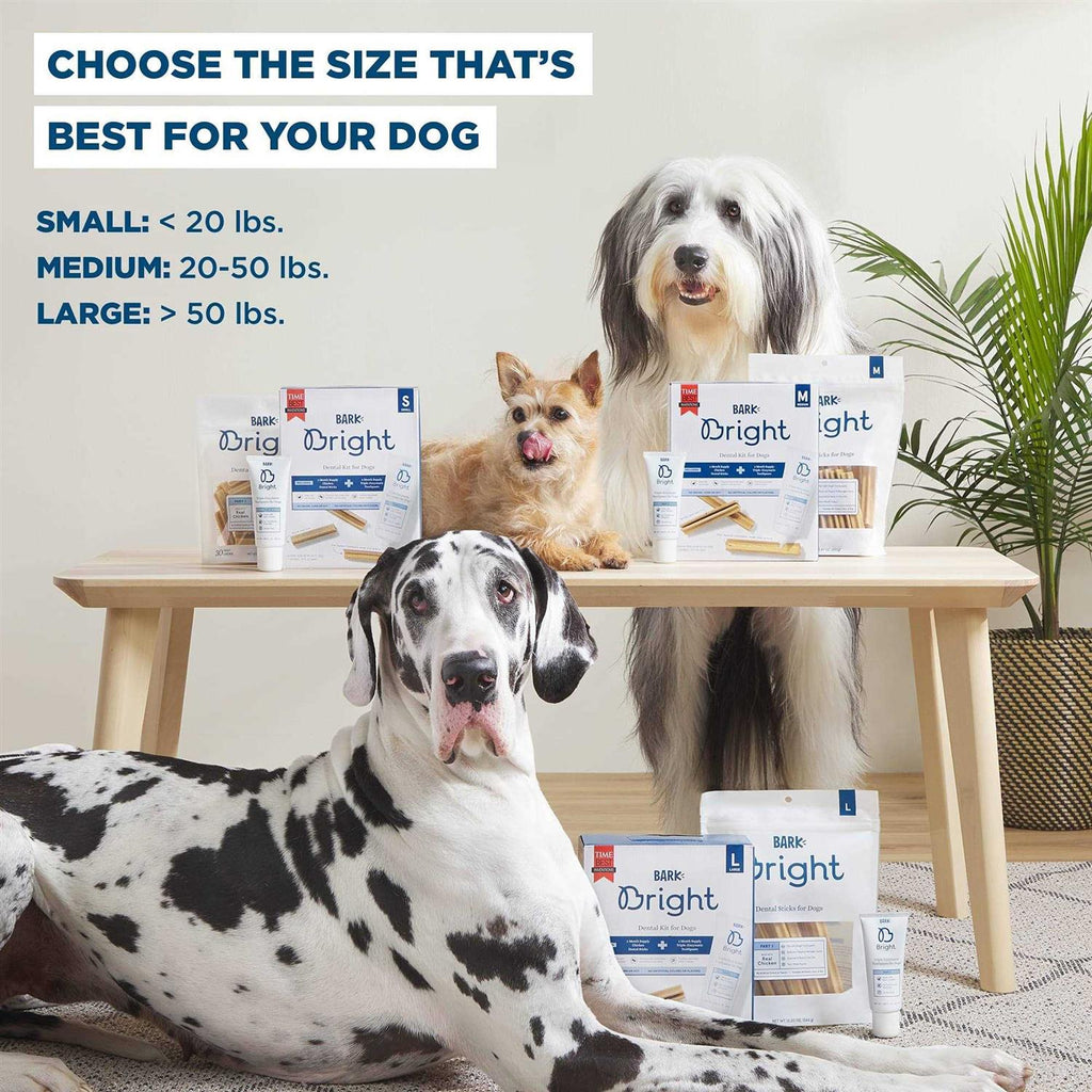 Dental Kit for Dogs C2056