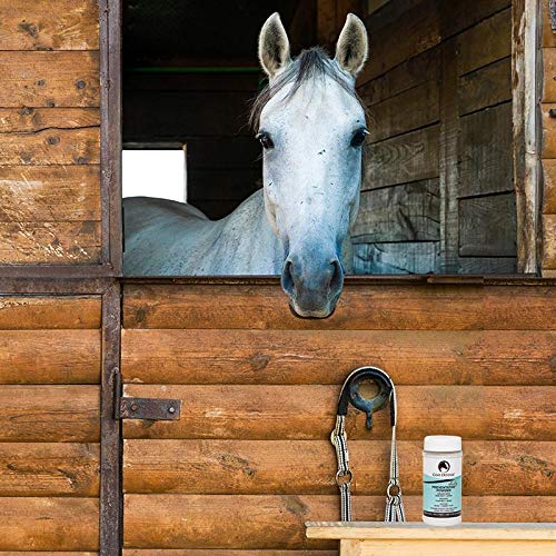 8 oz Equine Dry Shampoo Powder E284