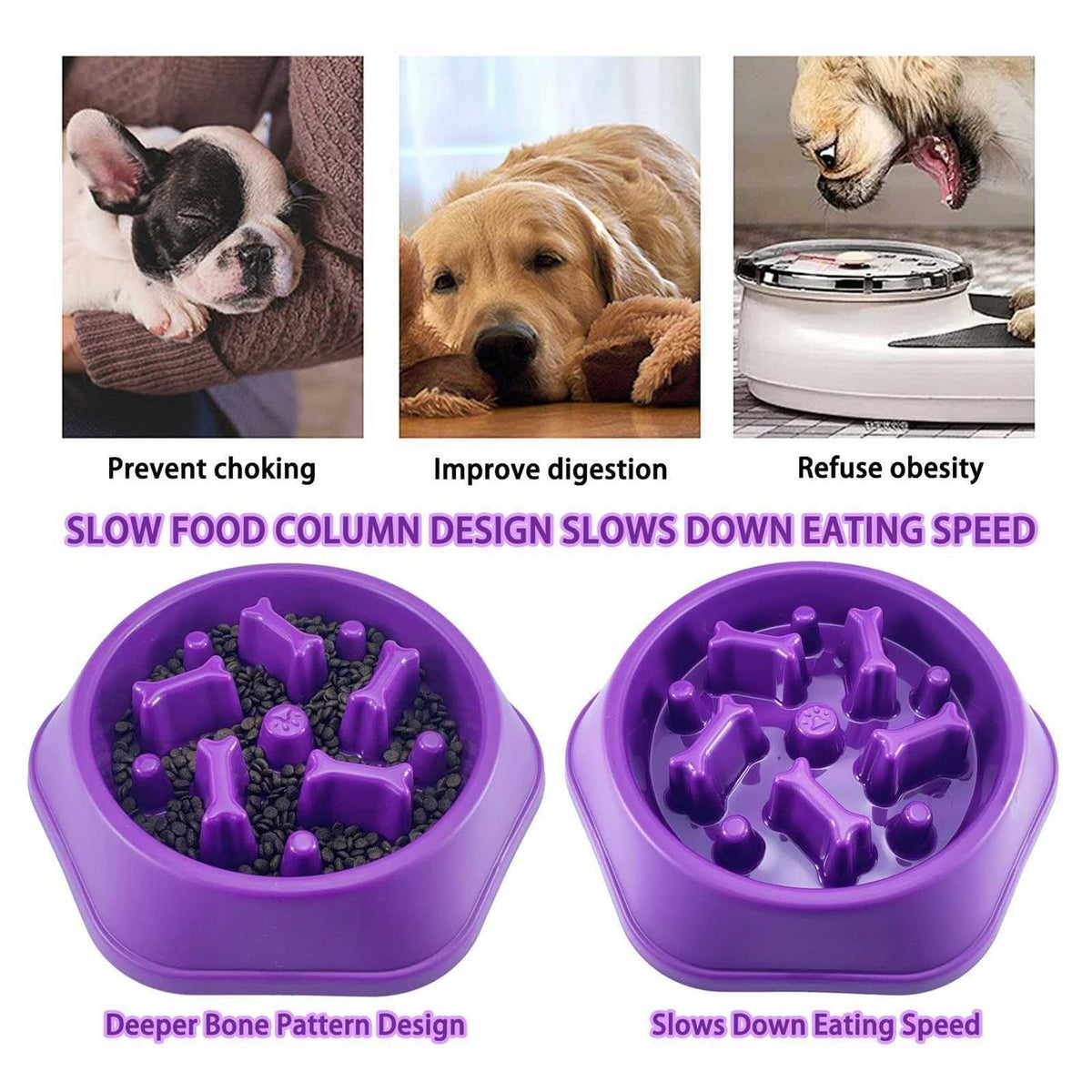 Slow Feeder Dog Bowl Non Slip N993