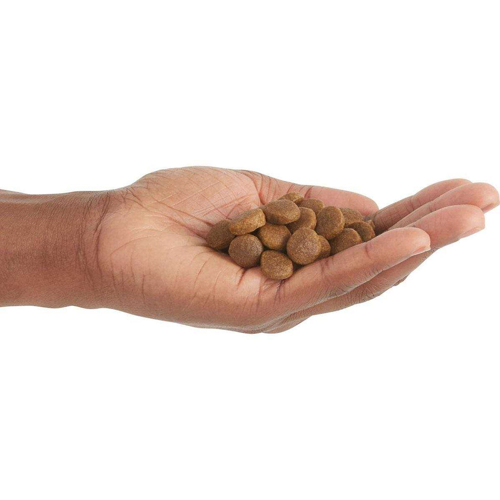 Free-Run Poultry Dry Dog Food V707709