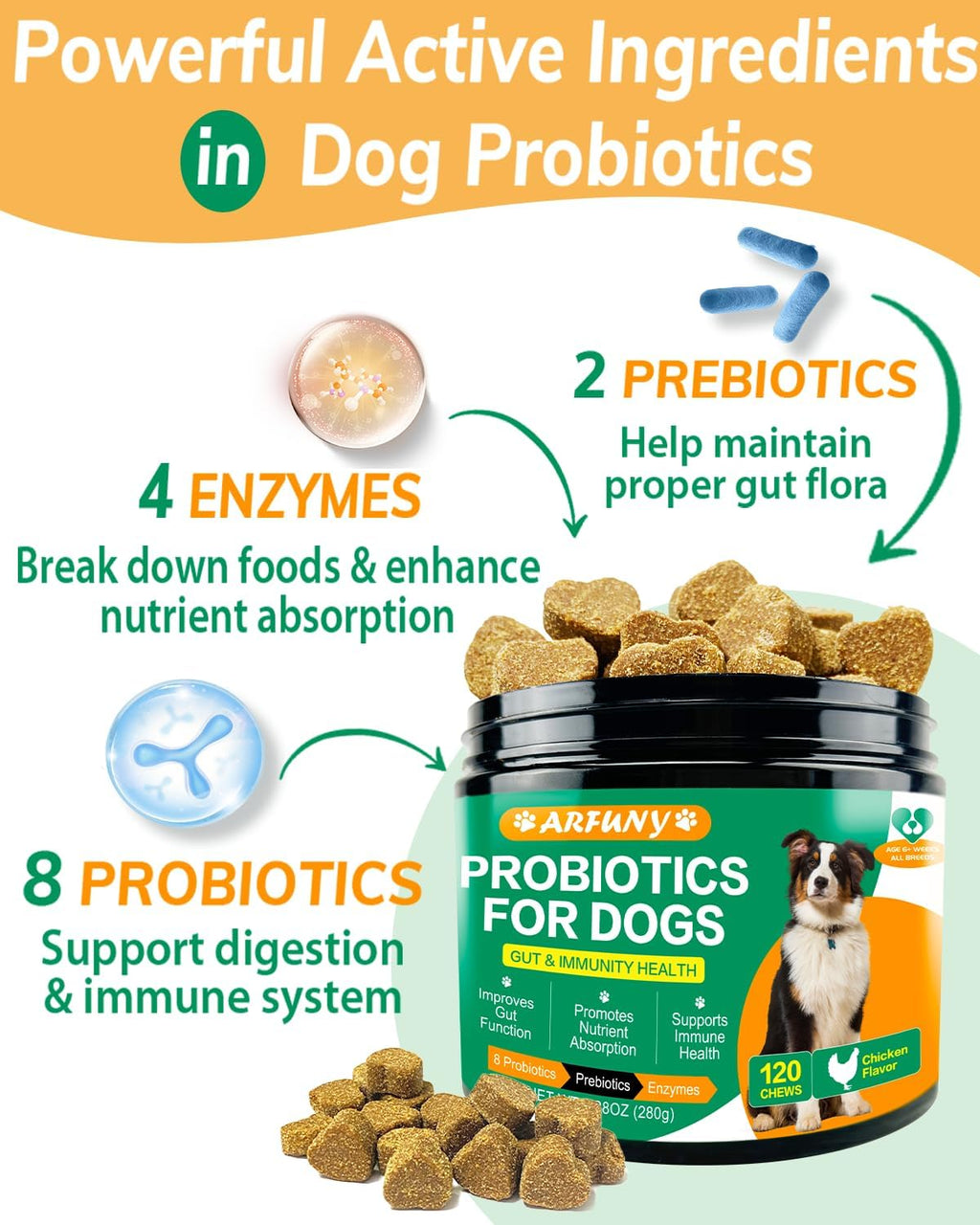 Chicken Flavor Probiotics Chews for Dogs with Prebiotic & Digestive Enzymes (120 Chews) T97196