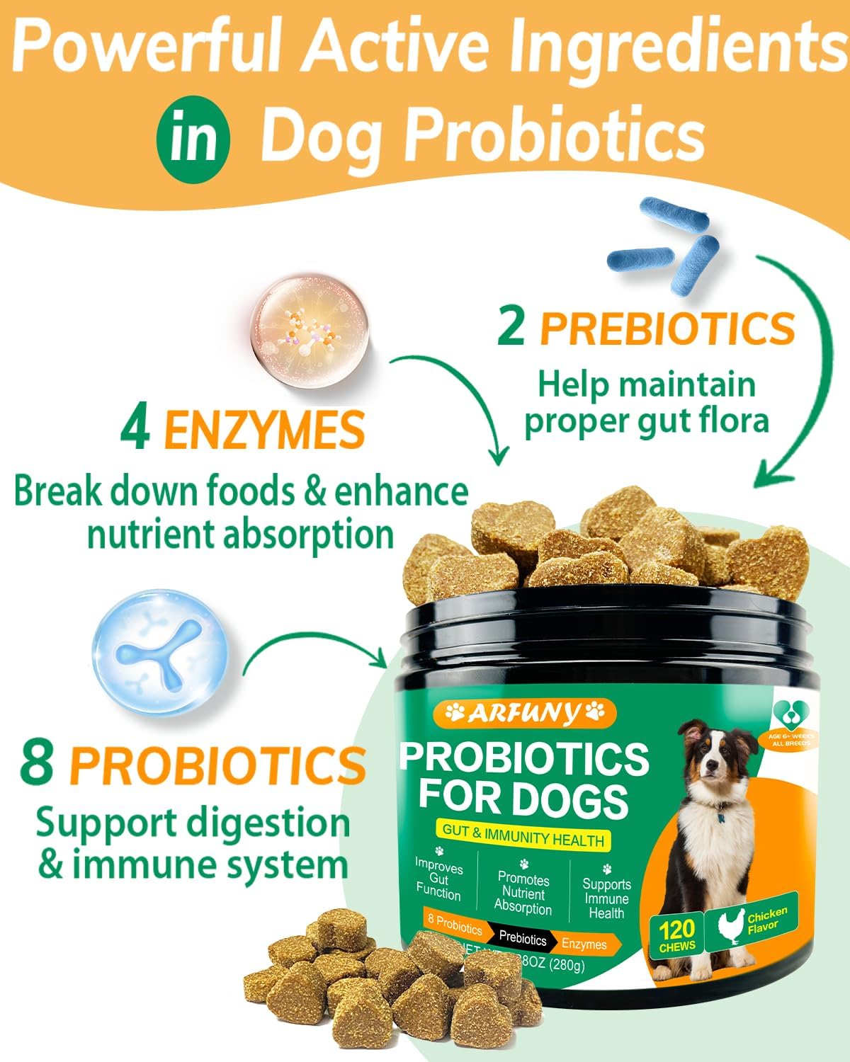 Chicken Flavor Probiotics Chews for Dogs with Prebiotic & Digestive Enzymes (120 Chews) T97196