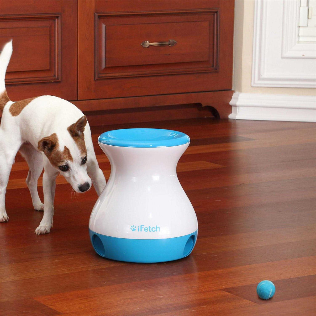 Dog Toy A54390