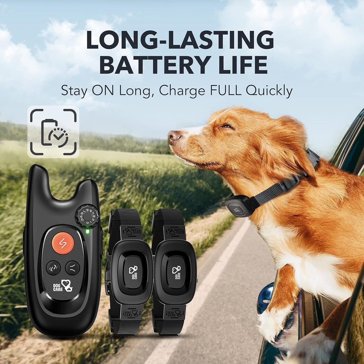 Rechargeable Dog Training Collar with Remote, 2 Receivers F970121
